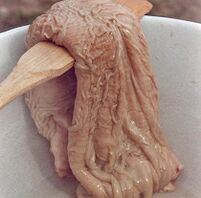 kamilji stomak za stimulaciju potencije